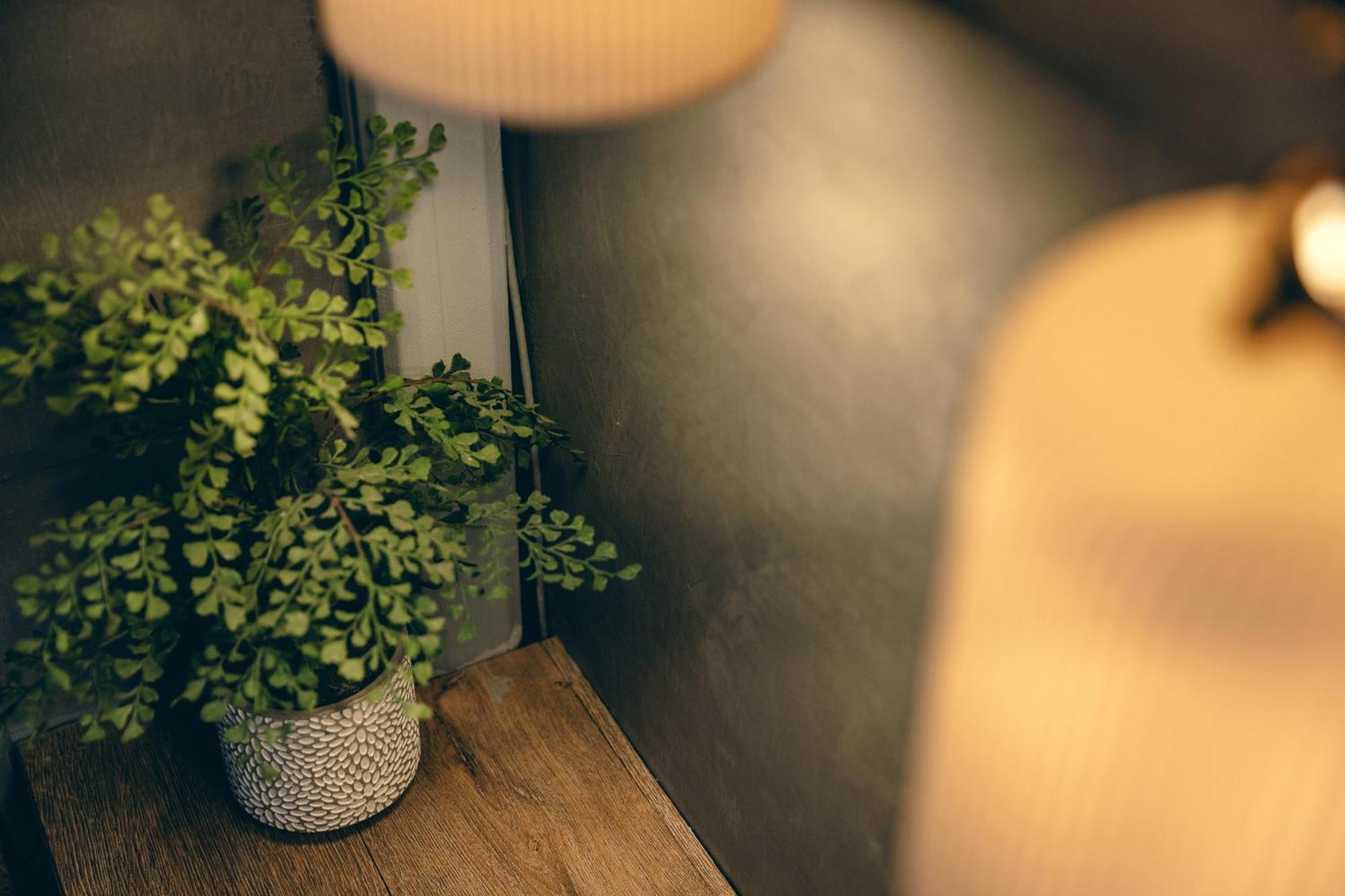 池上郷 オリジナル について ベッド&ブレックファースト【ペット可】 Bed & Breakfast エクステリア 写真